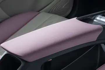 比亞迪Dolphin