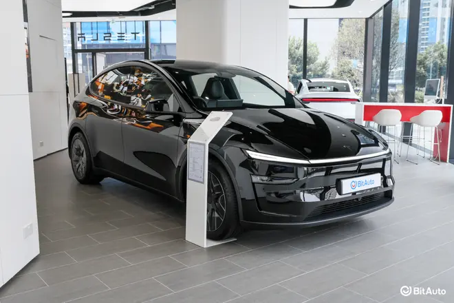 Model Y L
