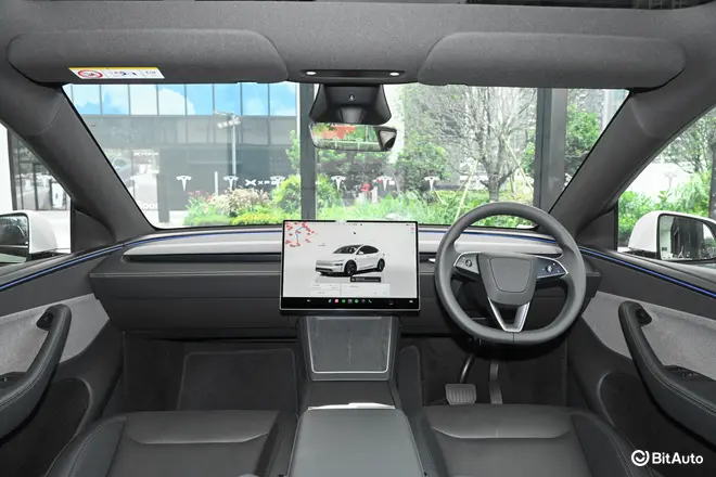 Model Y