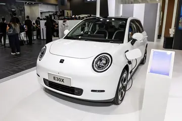 JAC E30X