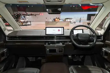 Farizon SV