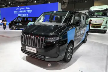 Farizon SV
