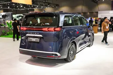 Denza D9