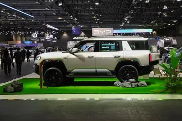 Denza B8