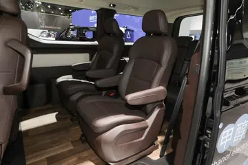Farizon SV