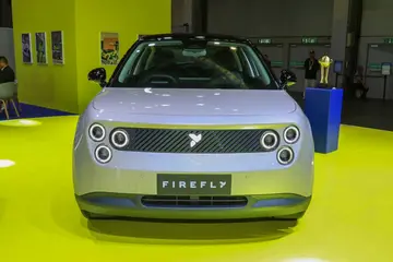 firefly Firefly