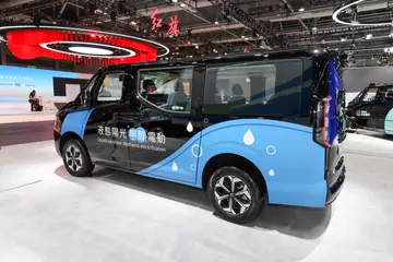 Farizon SV
