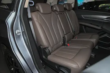 BYD M6