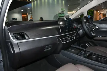 BYD M6