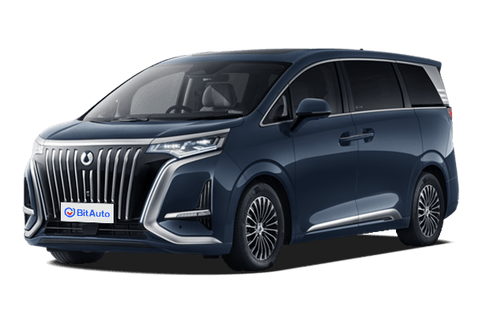 Denza D9