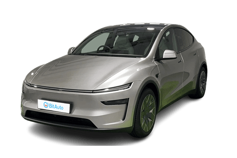 TESLA Model Y L