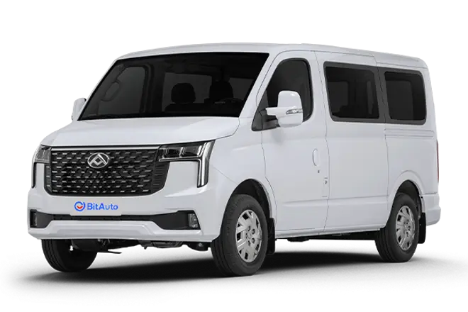 Maxus V80