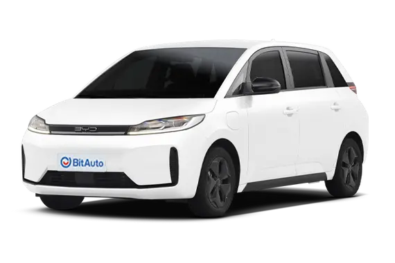 BYD D1
