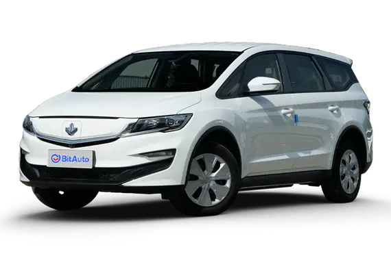 睿藍汽車楓葉80v