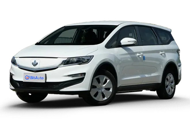 Livan Maple 80v