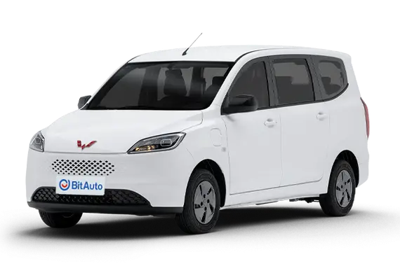 Wuling Hongguang Electric