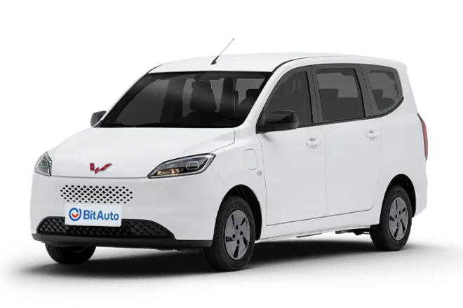 Wuling Hongguang Electric