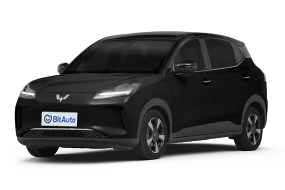 Wuling Binguo Plus