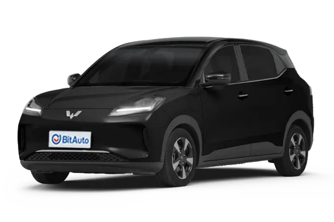 Wuling Binguo Plus