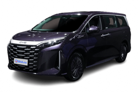 BYD M9