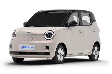 Mini EV